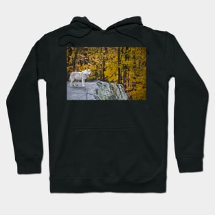 Arctic Wolf Hoodie